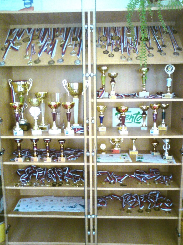 Fotogaléria Naše úspechy (11) Naše úspechy